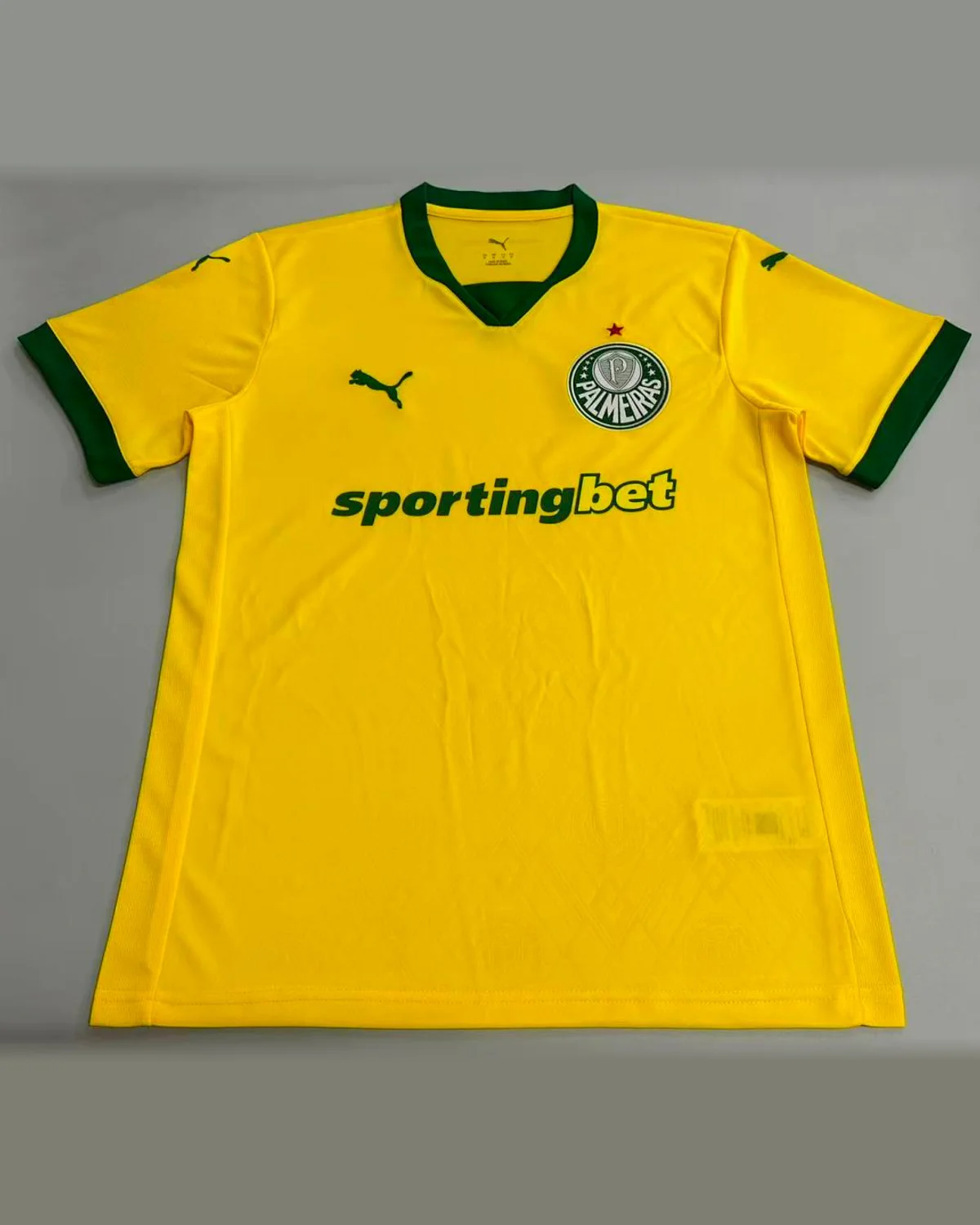 Palmeiras "2025/26 Palmeiras Second Away Jersey " football jersey