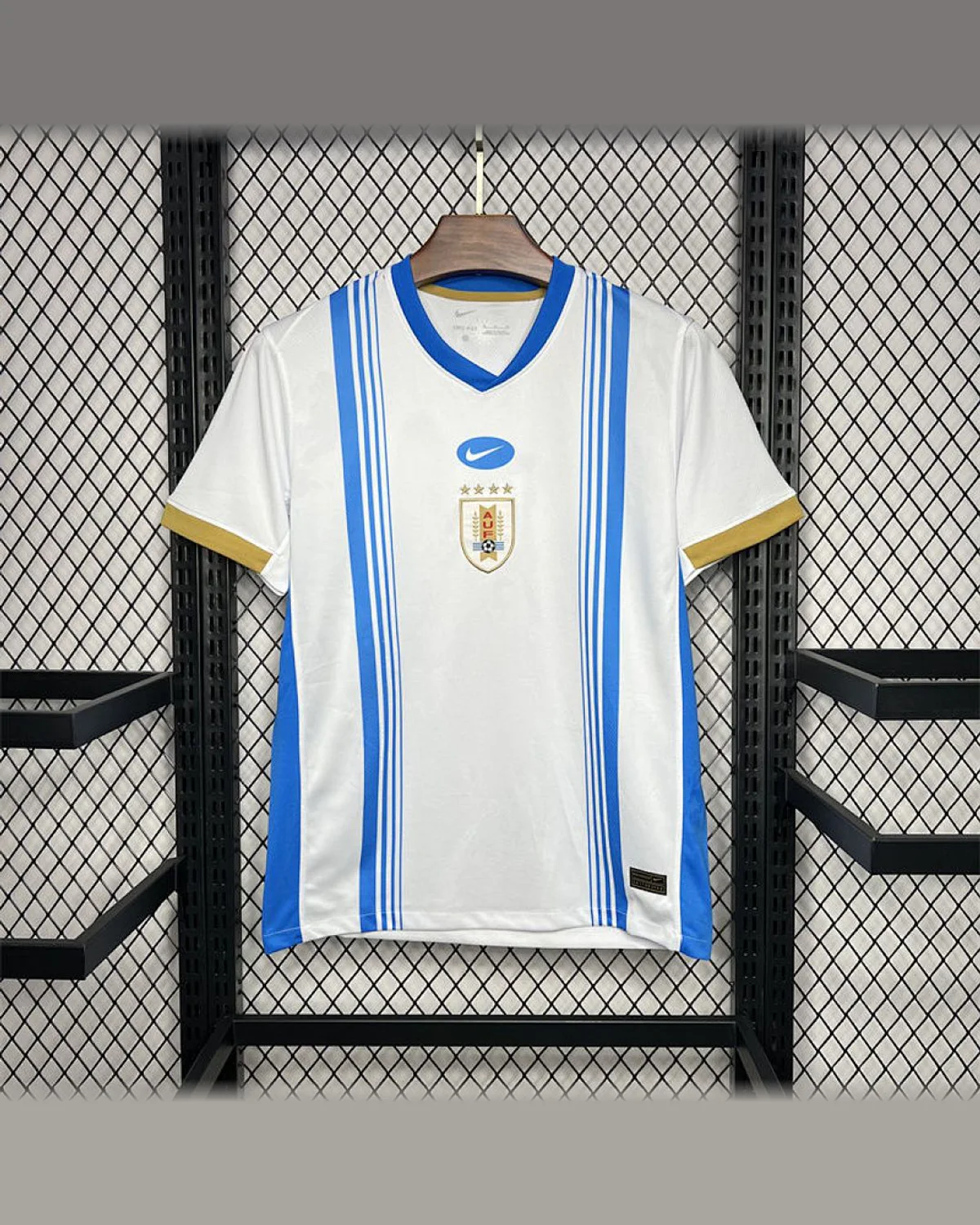 Uruguay Uruguay 2024/25 Pre-match training Jersey football jersey