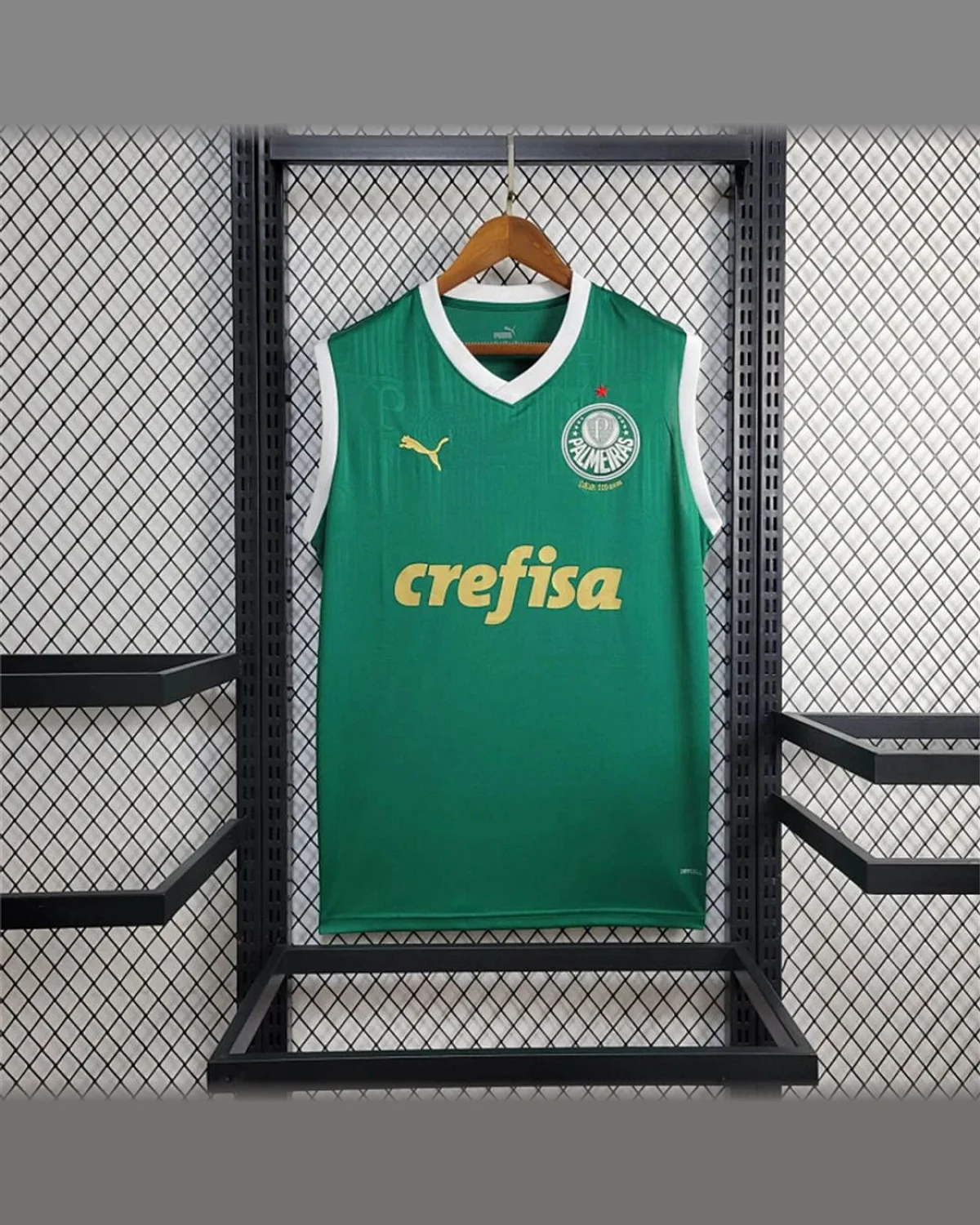 Palmeiras 2024/25 Palmeiras Home Vest football jersey