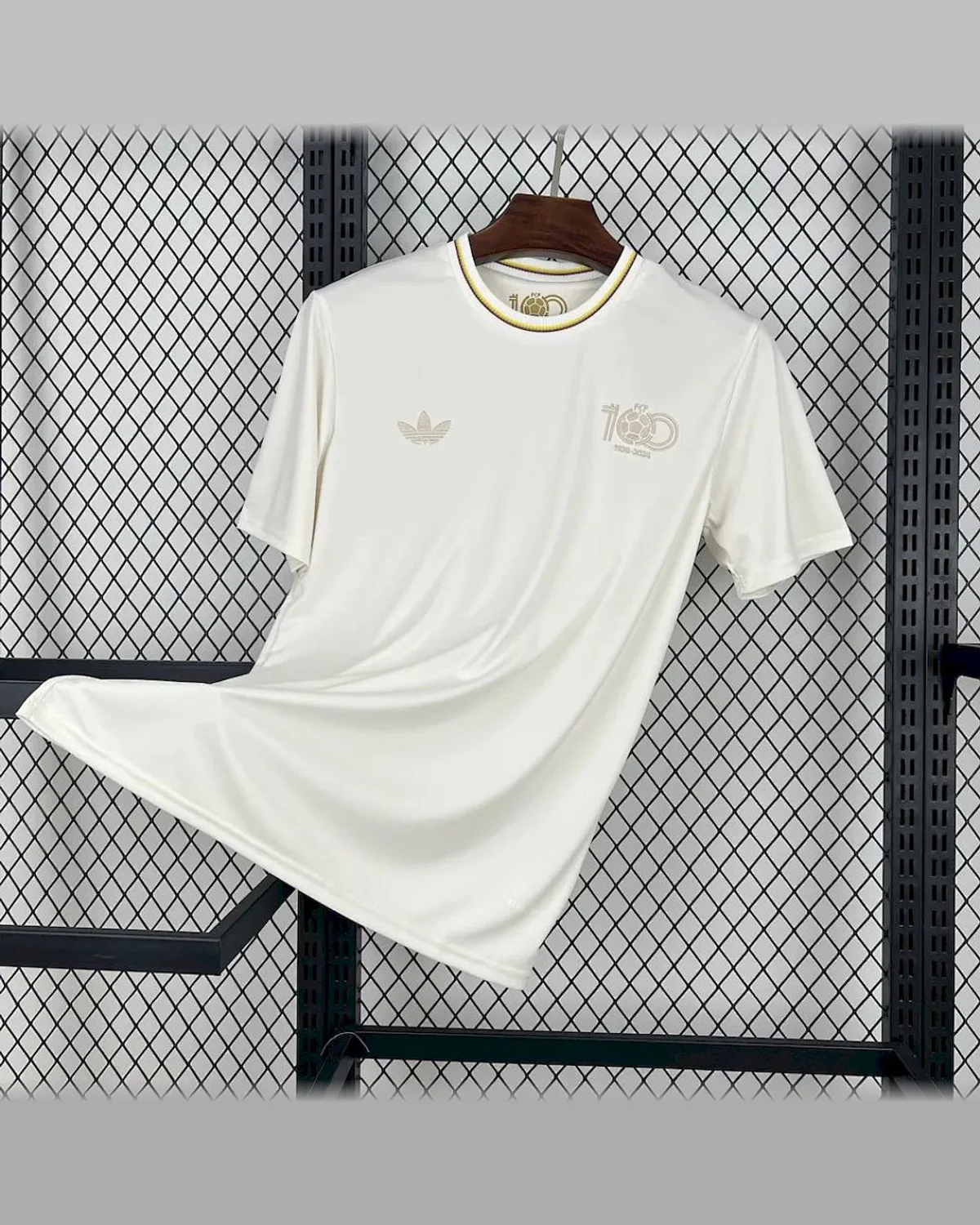 Colombia 2024/25 Colombia 100th Anniversary Special Edition Jersey football jersey