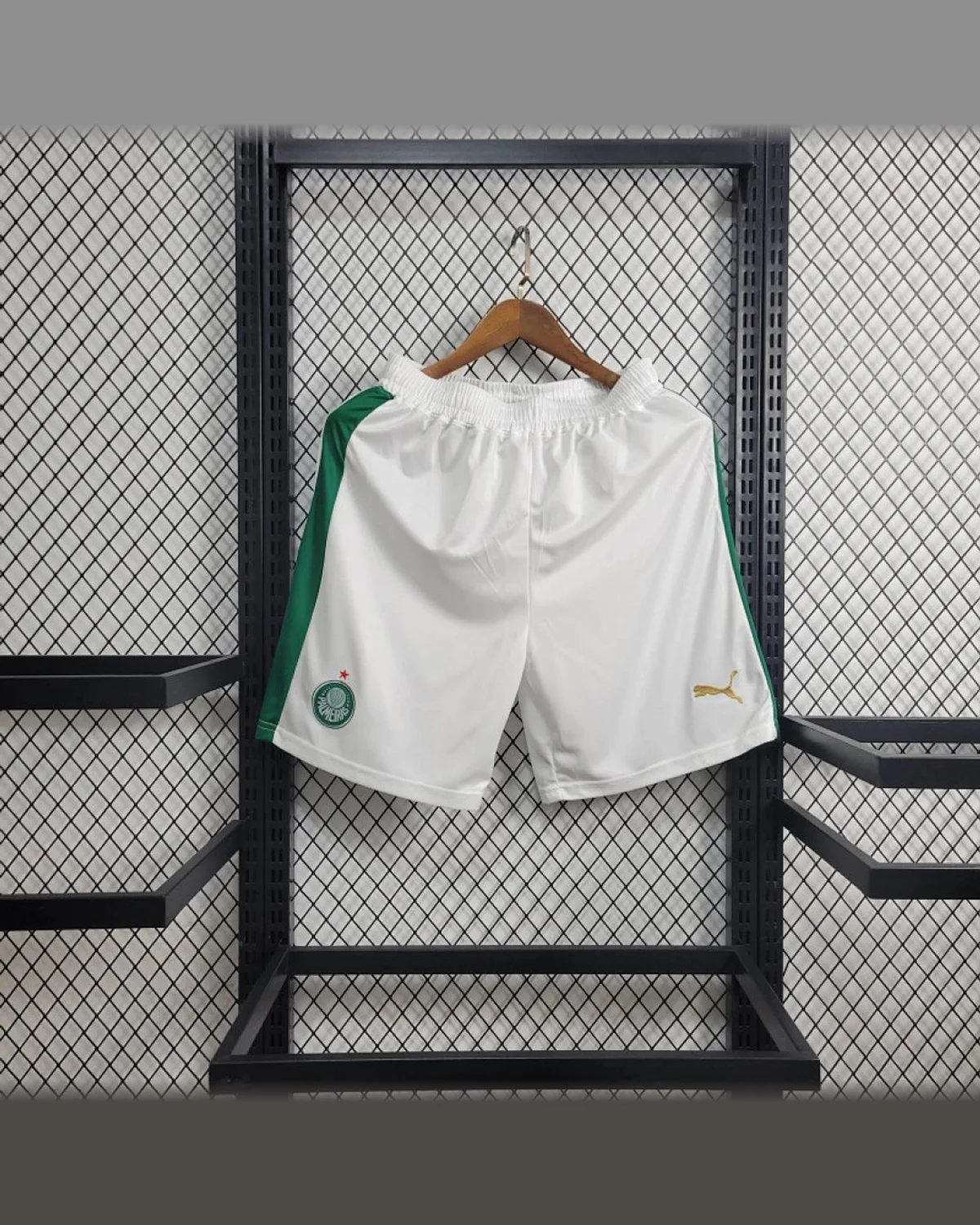 Palmeiras 2024/25 Palmeiras Away Shorts football jersey