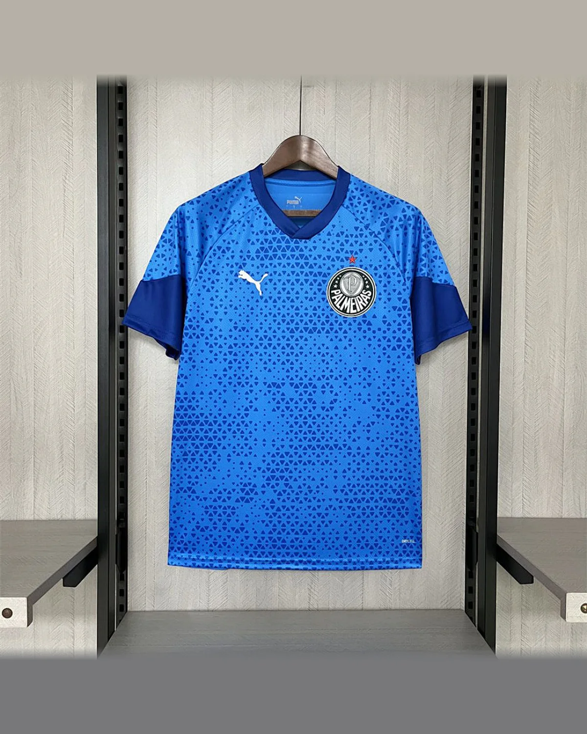 Palmeiras Palmeiras 2024/25 Blue Goalkeeper Jersey football jersey