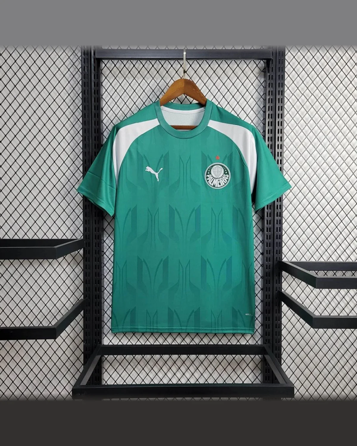 Palmeiras 2024/25 Palmeiras Training Clothing football jersey