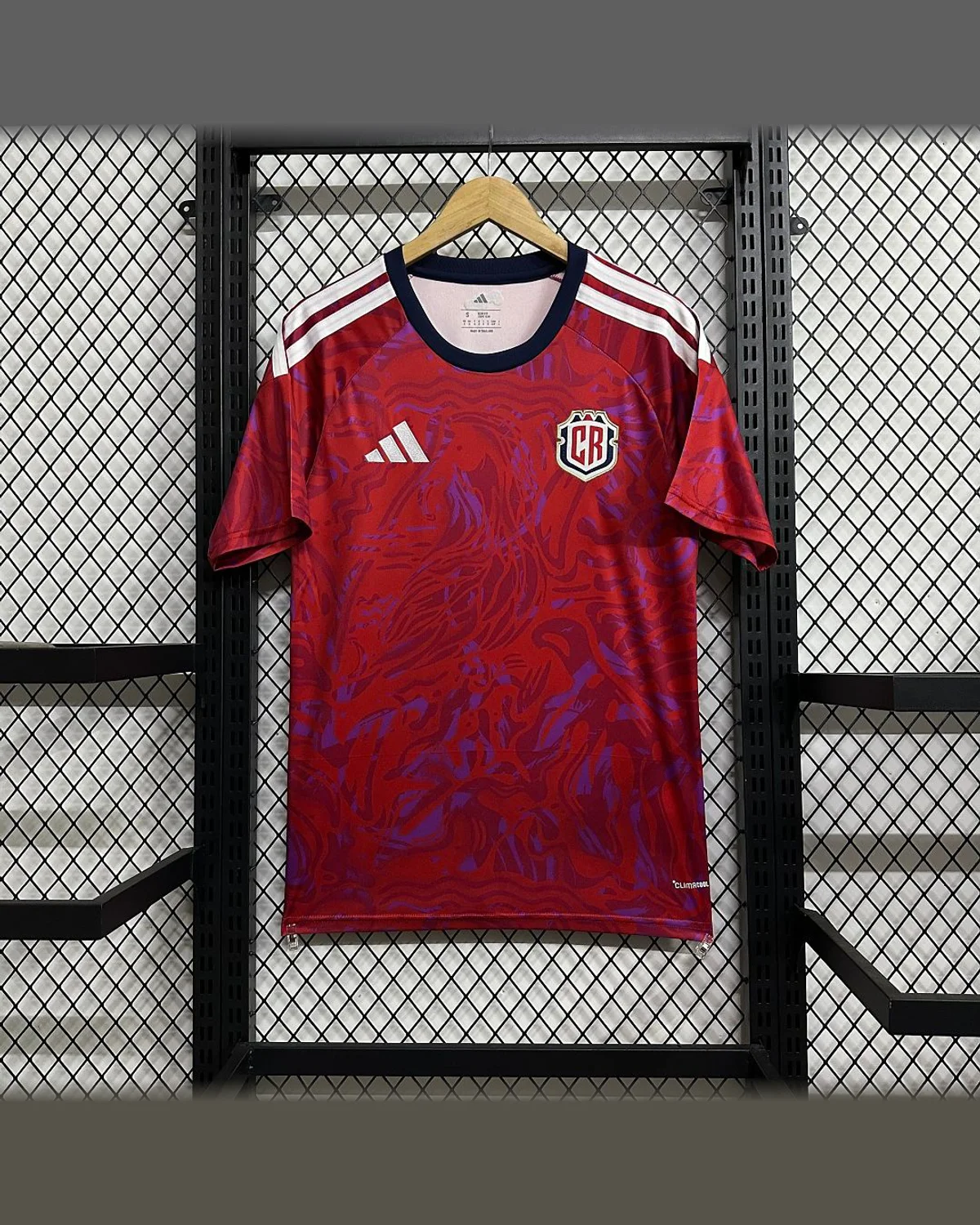Argentina 2026/27 Argentina Design Royal Blue football jersey