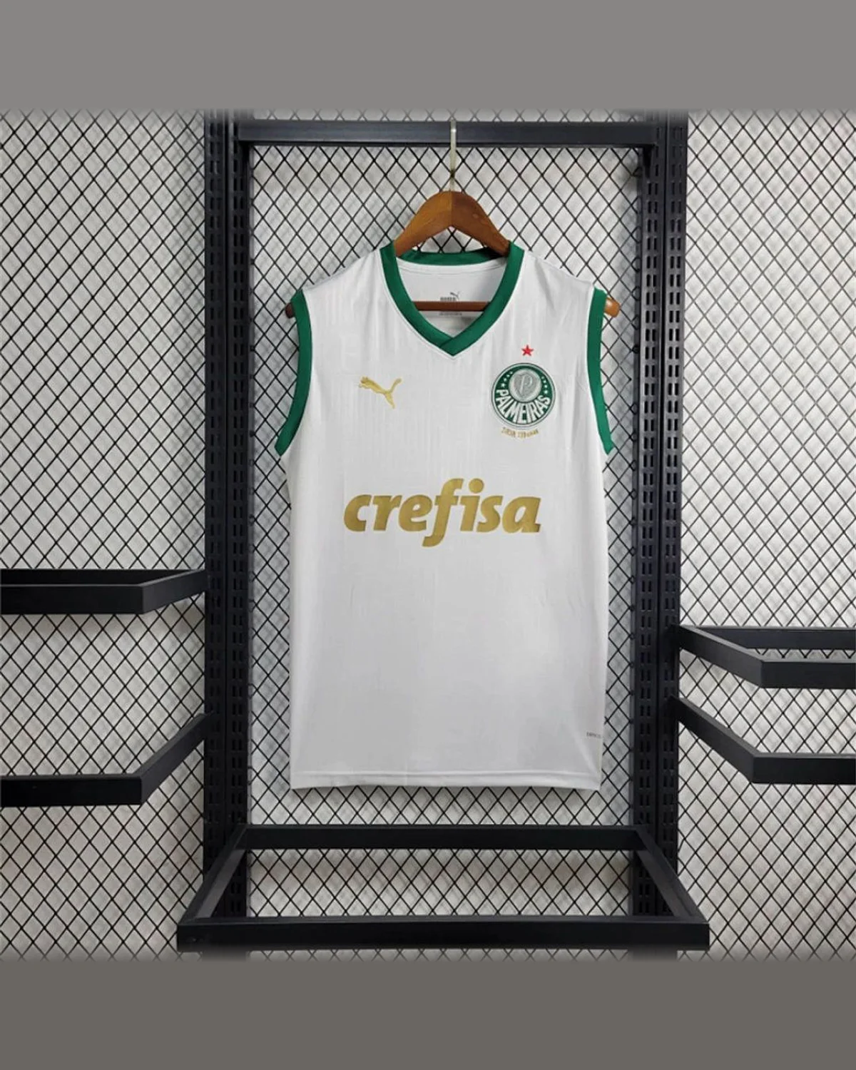 Palmeiras 2024/25 Palmeiras Away Vest football jersey